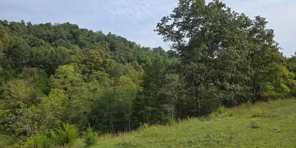 Image 2: 14