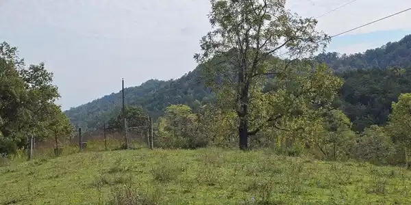 Image 3: 7