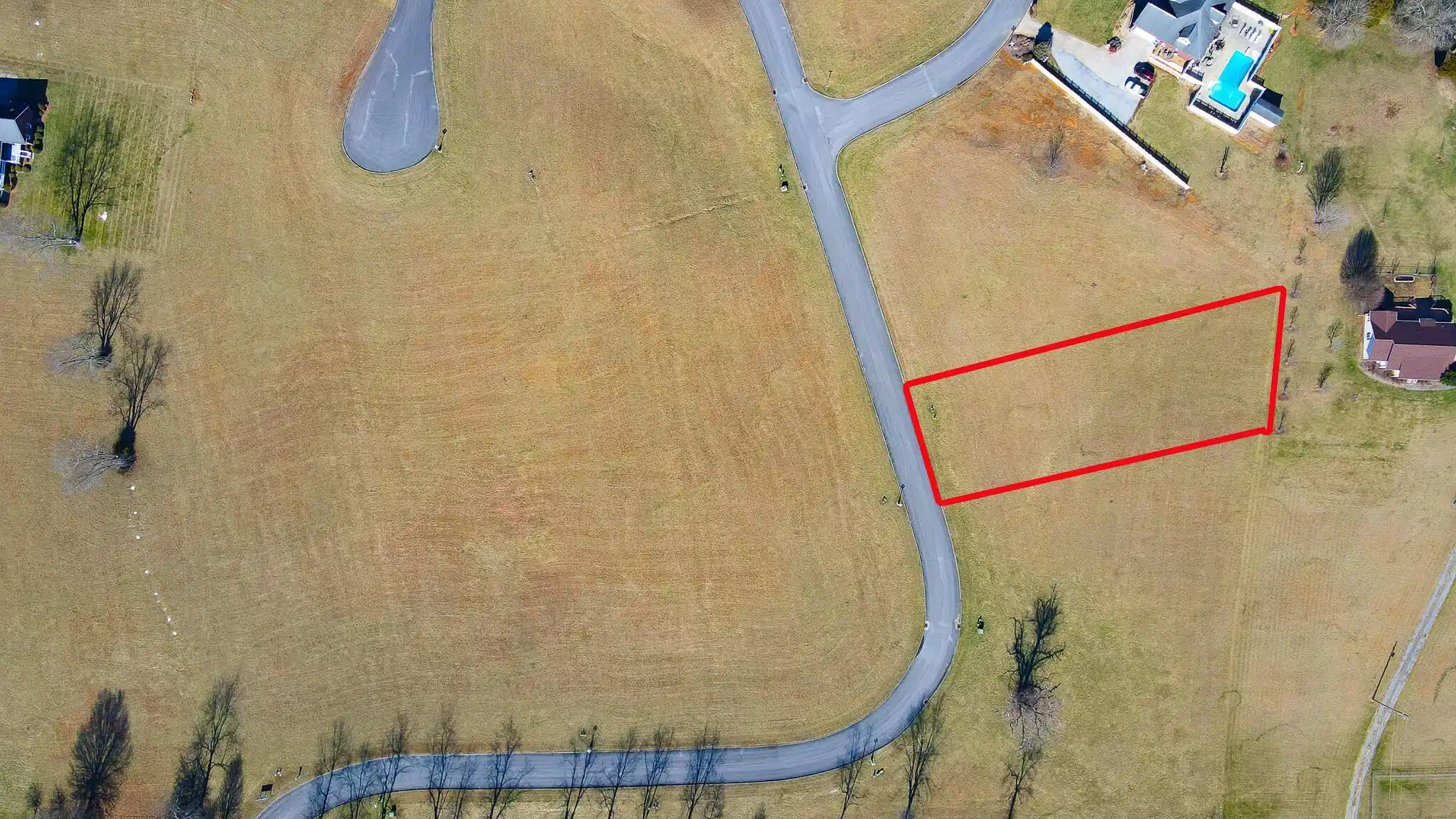 Image 1: 16 Birds Eye w PL