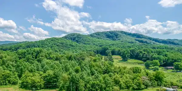 1685 Highway 107 - 22 Acre