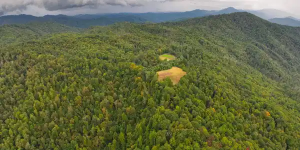 Image 4: Poplar Creek RD_Drone-4