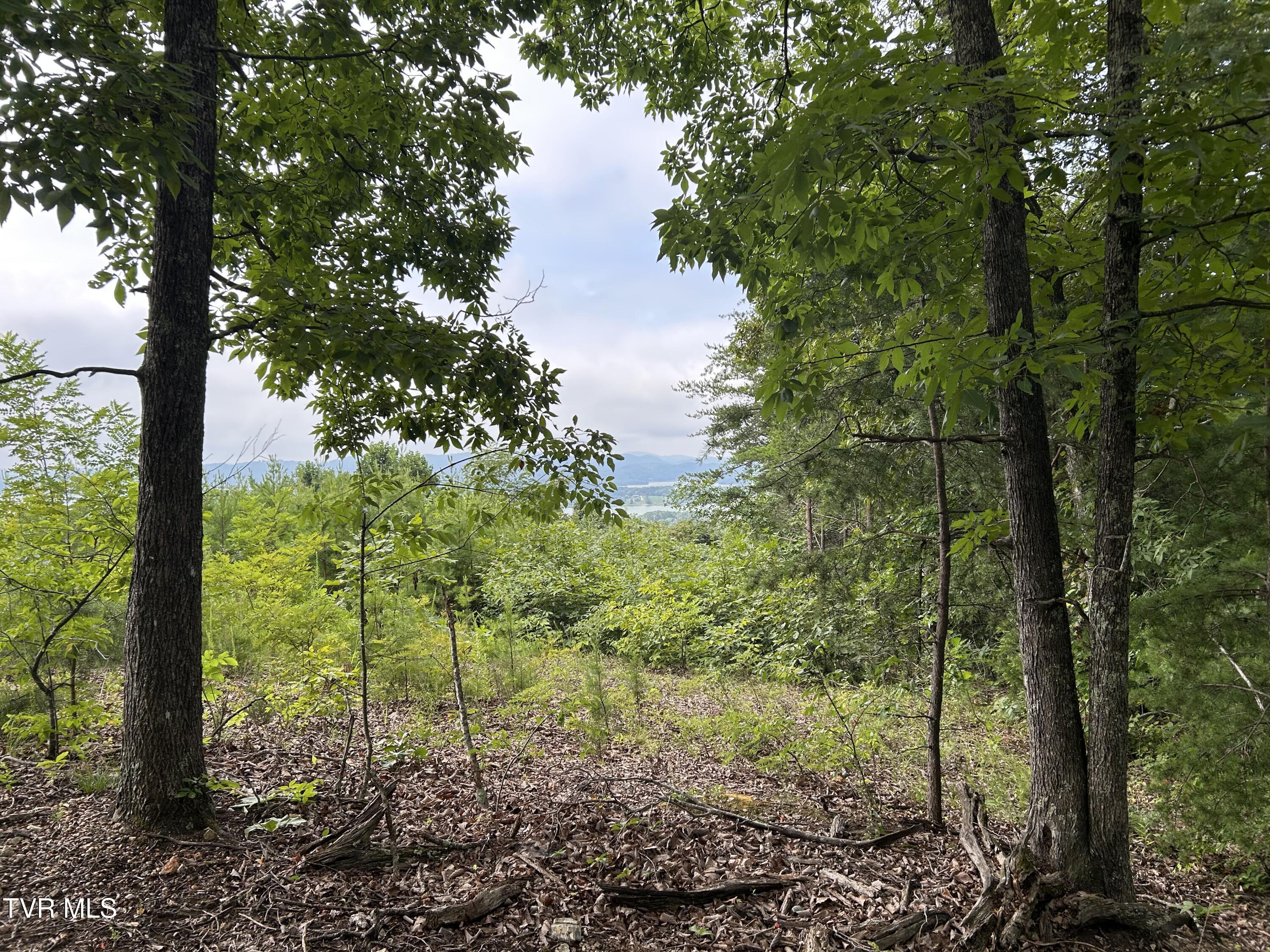 Image 2: IMG_0382