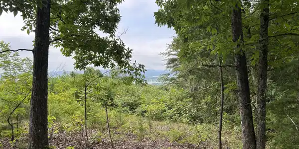 Image 2: IMG_0382