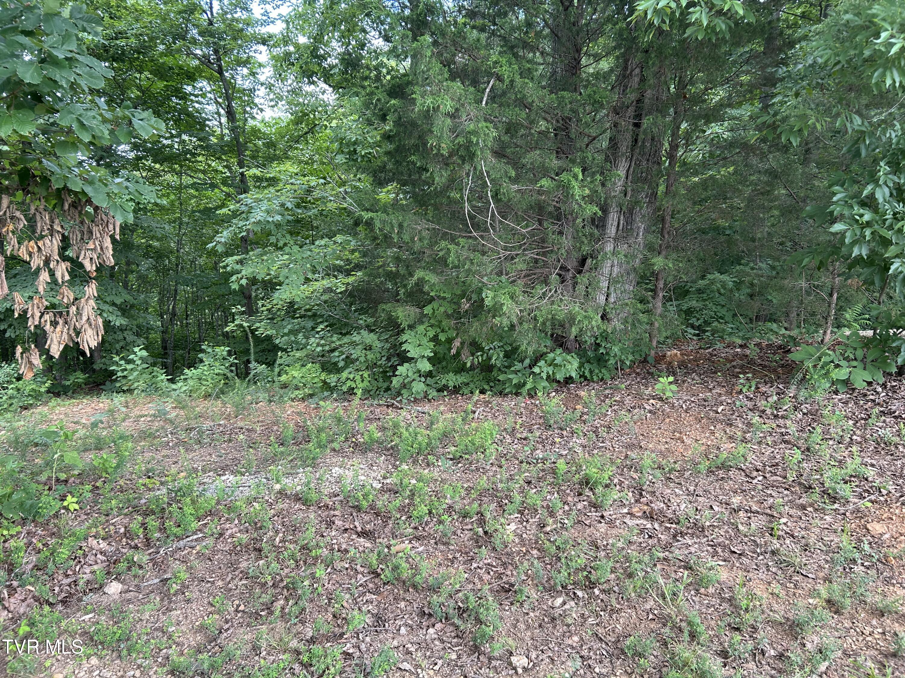 Image 4: IMG_0379 (1)