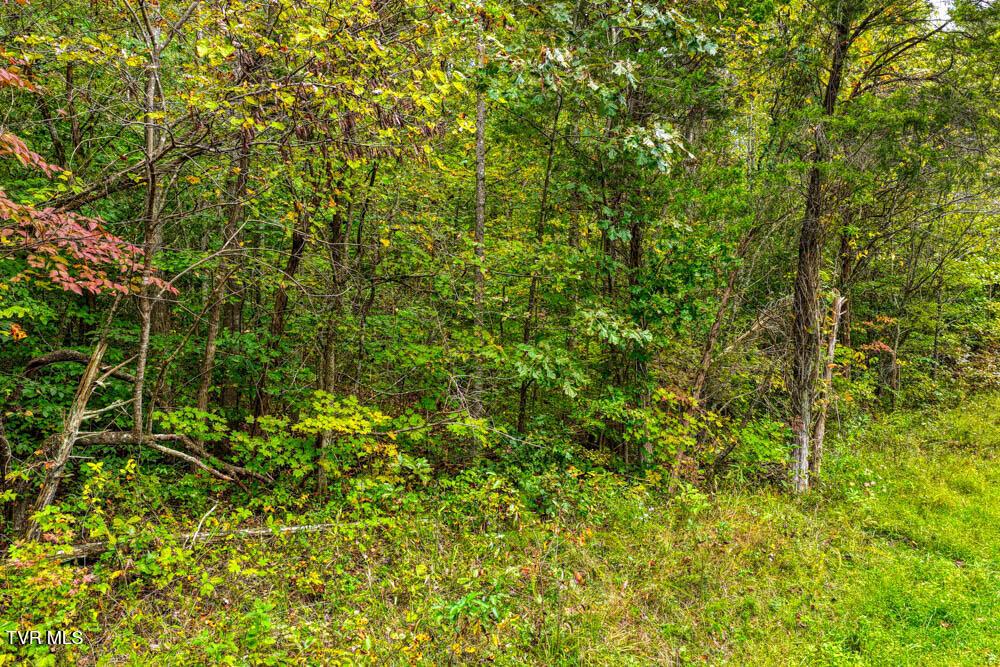Image 2: Butcher Valley MLSa (2 of 23)