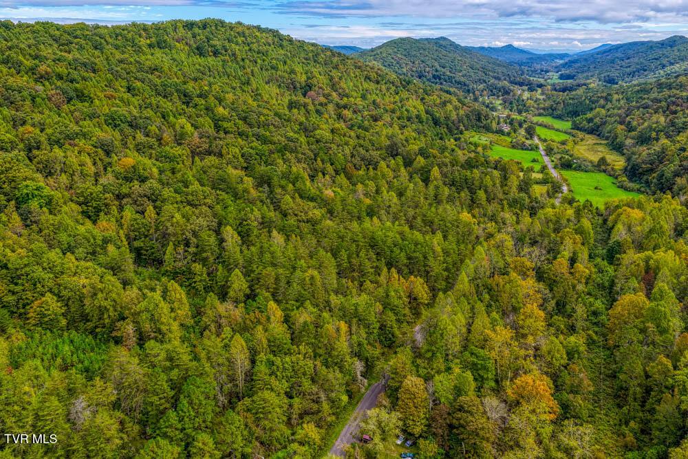 Image 3: Butcher Valley MLSa (4 of 23)