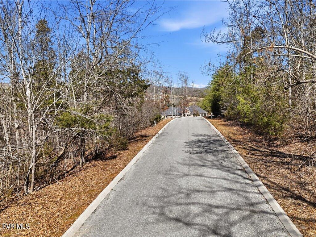 Image 3: Lot 101 Eagles Ridge - 3
