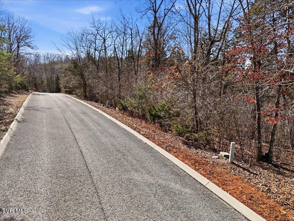 Image 4: Lot 101 Eagles Ridge - 4