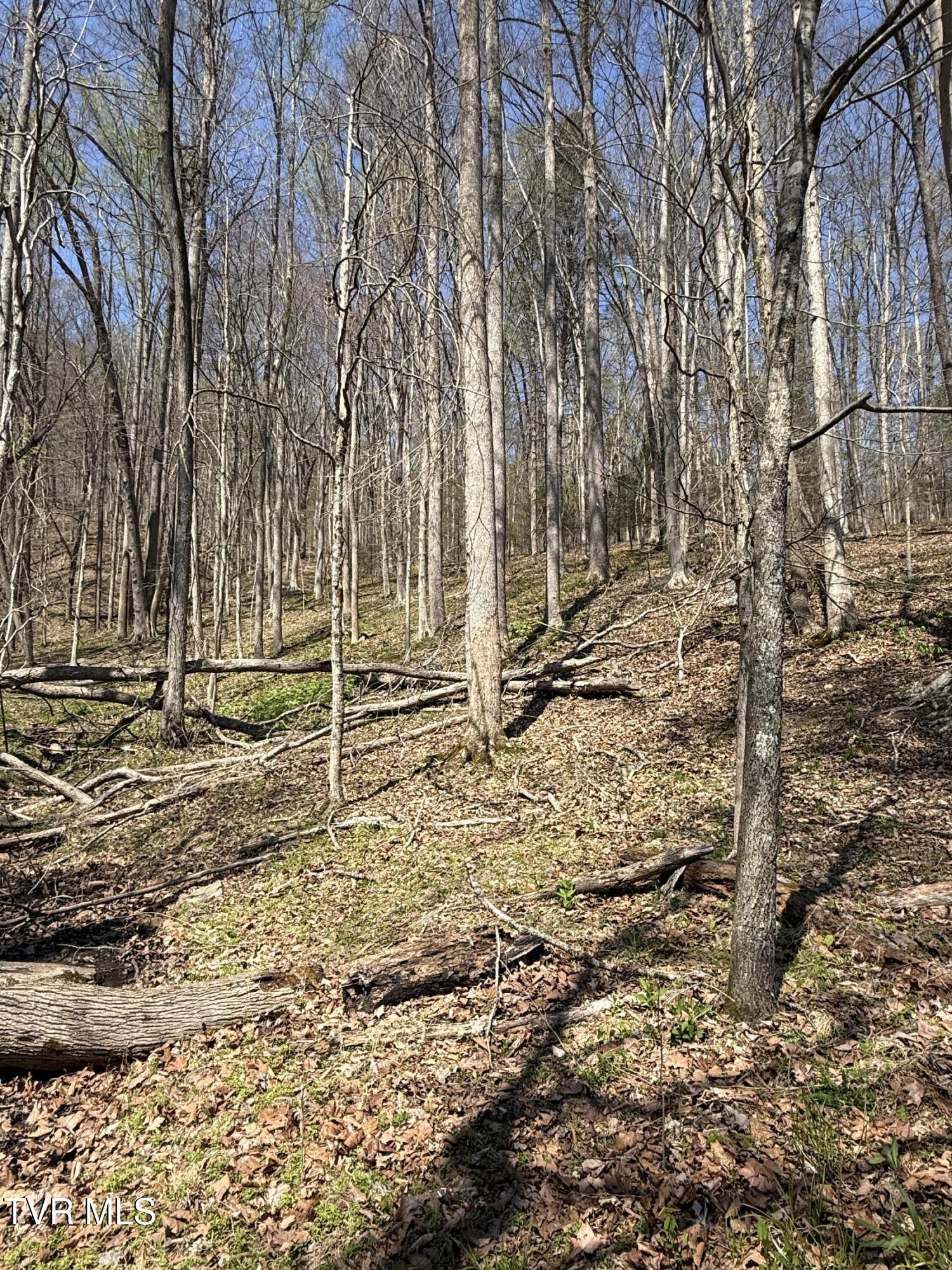 Image 3: IMG_5777