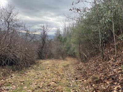 Tbd H Proffitt Lane
