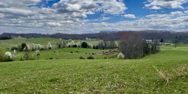 88/Ac Tbd Hwy 93