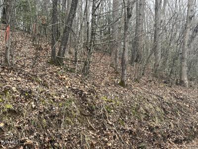 Tbd N. Dugger Road
