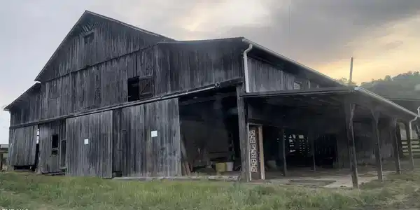202 Eidson Lane