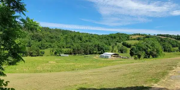 Image 2: 1000012977