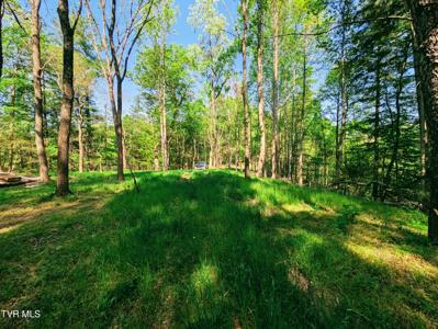 Tbd Leaf Ridge