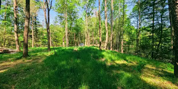 Tbd Leaf Ridge