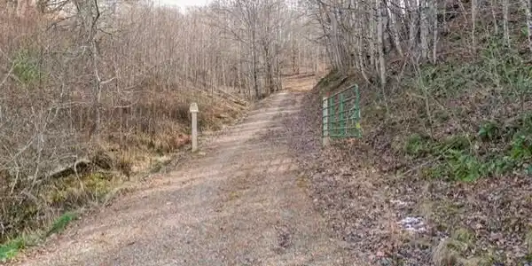 Tbd Fred Wallace Road