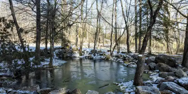 124 Dugger Branch Road