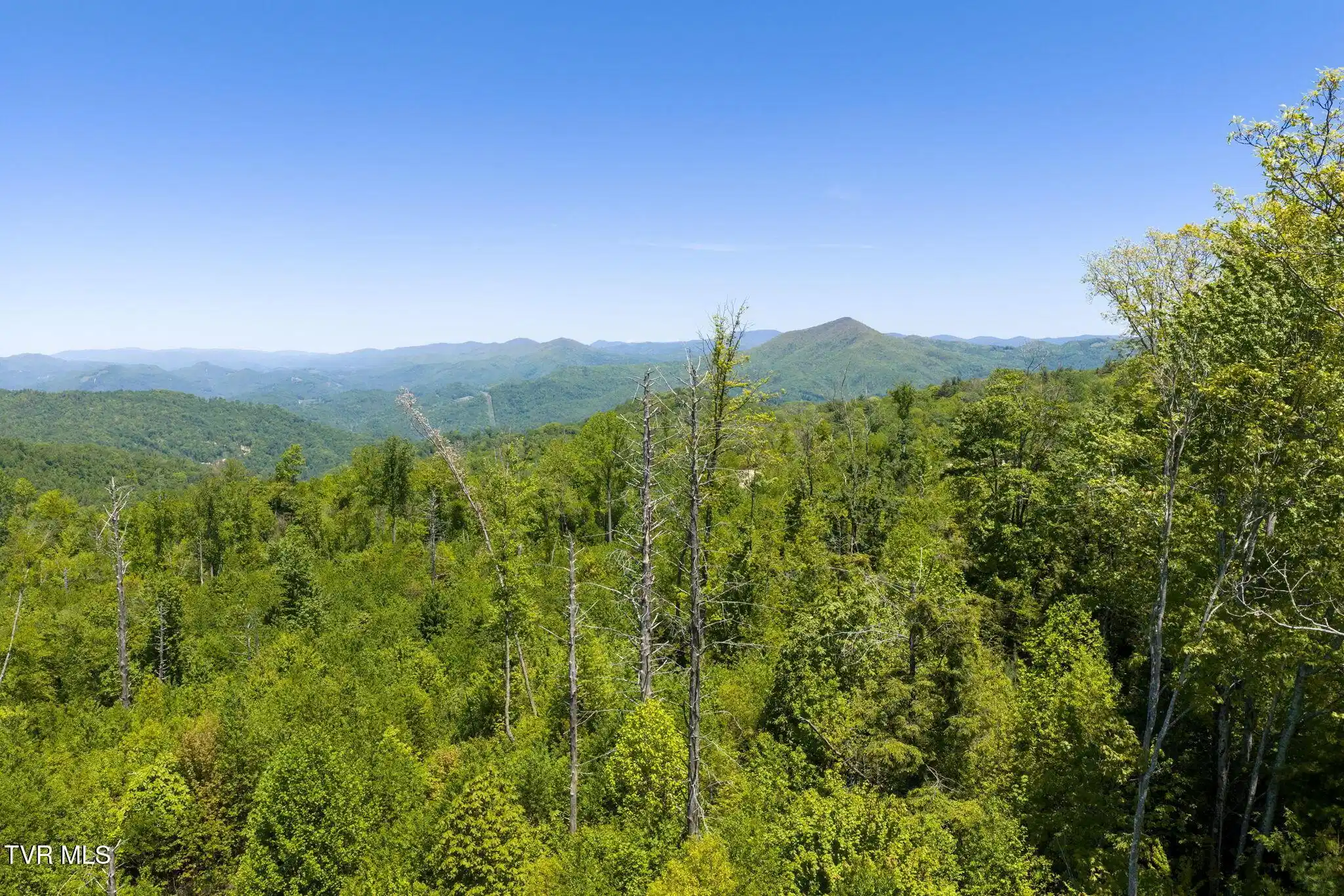 Image 1: 2-web-or-mls-DJI_20260512141435_0693_D