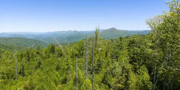 Tbd Walnut Mountain Road