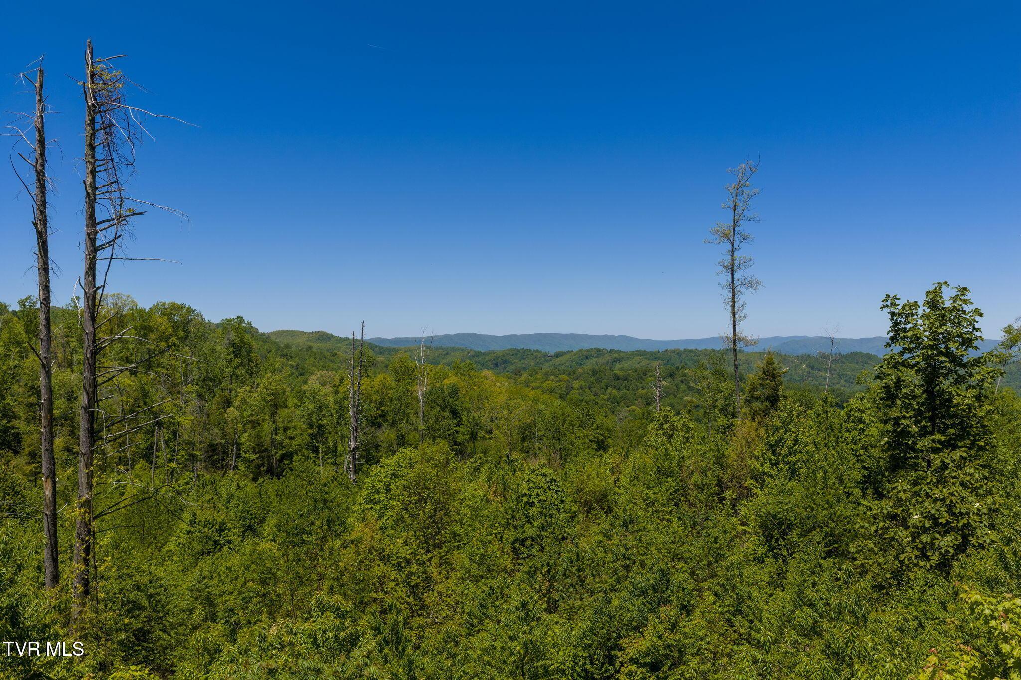 Image 3: 1-web-or-mls-DJI_20260512141426_0692_D