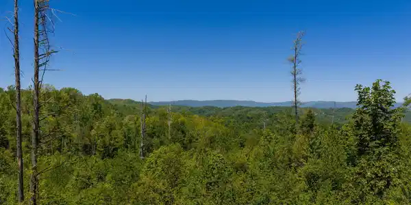 Image 3: 1-web-or-mls-DJI_20260512141426_0692_D