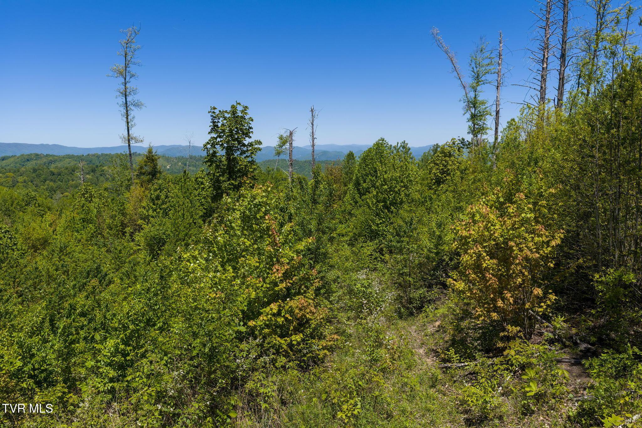 Image 4: 13-web-or-mls-DJI_20260512141835_0710_D