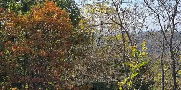 Image 4: 4