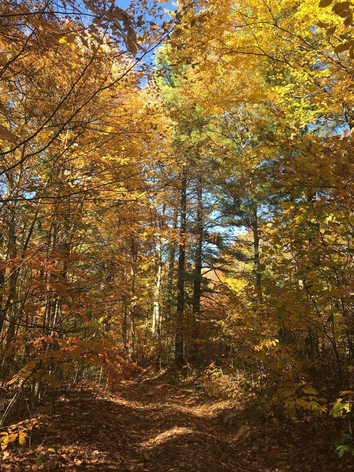 Image 4: moutain