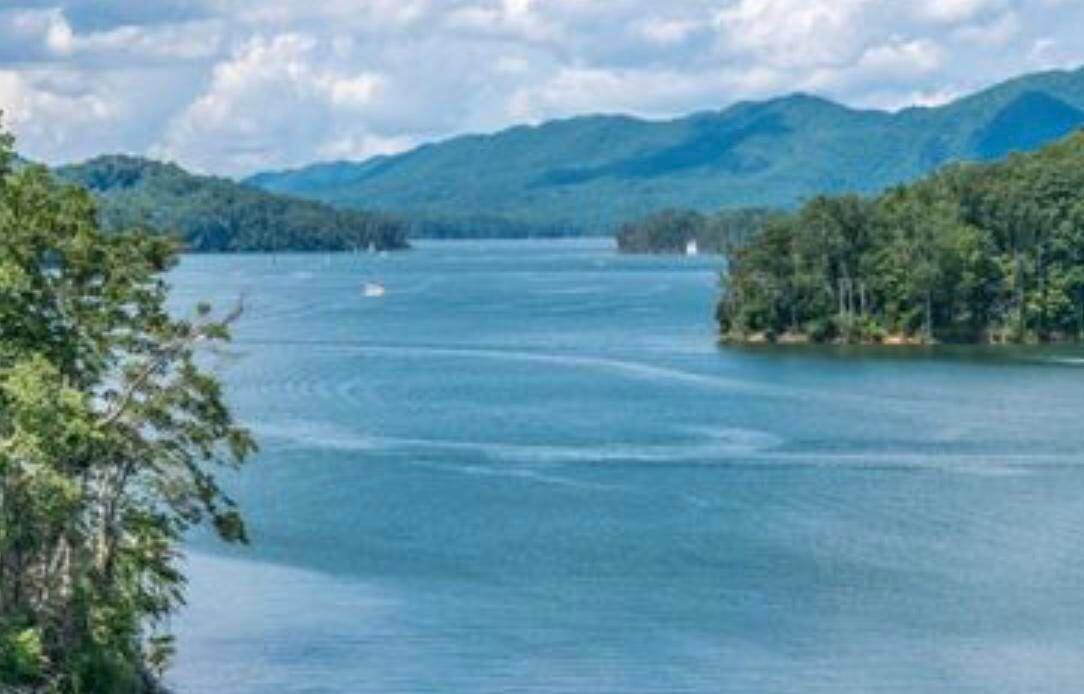Image 3: cove5