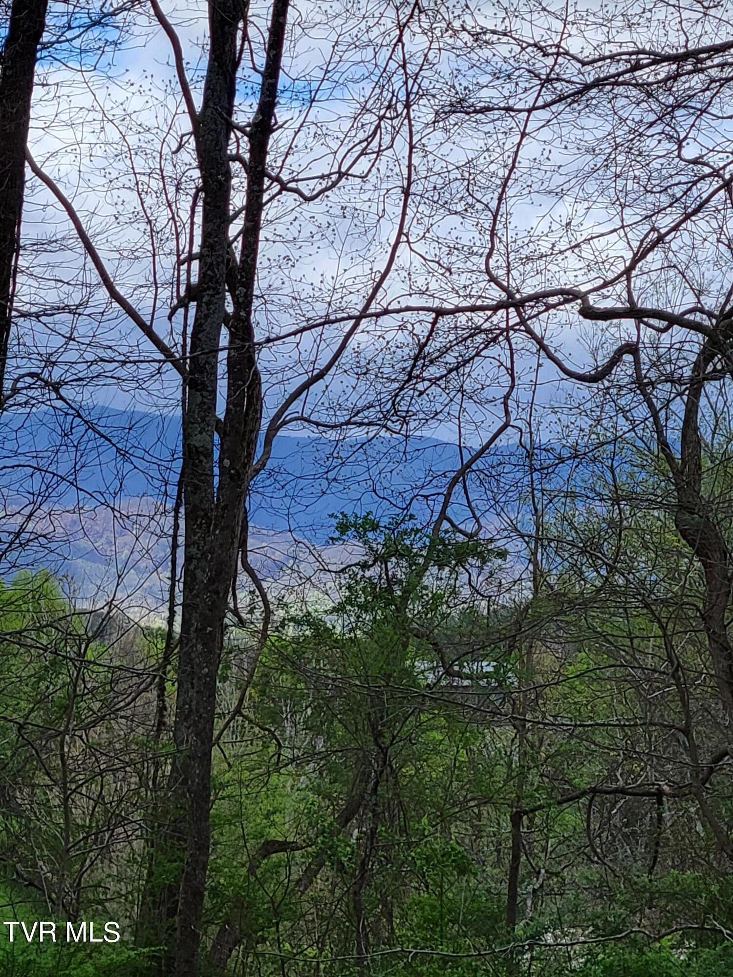 Image 3: 20240411_105522
