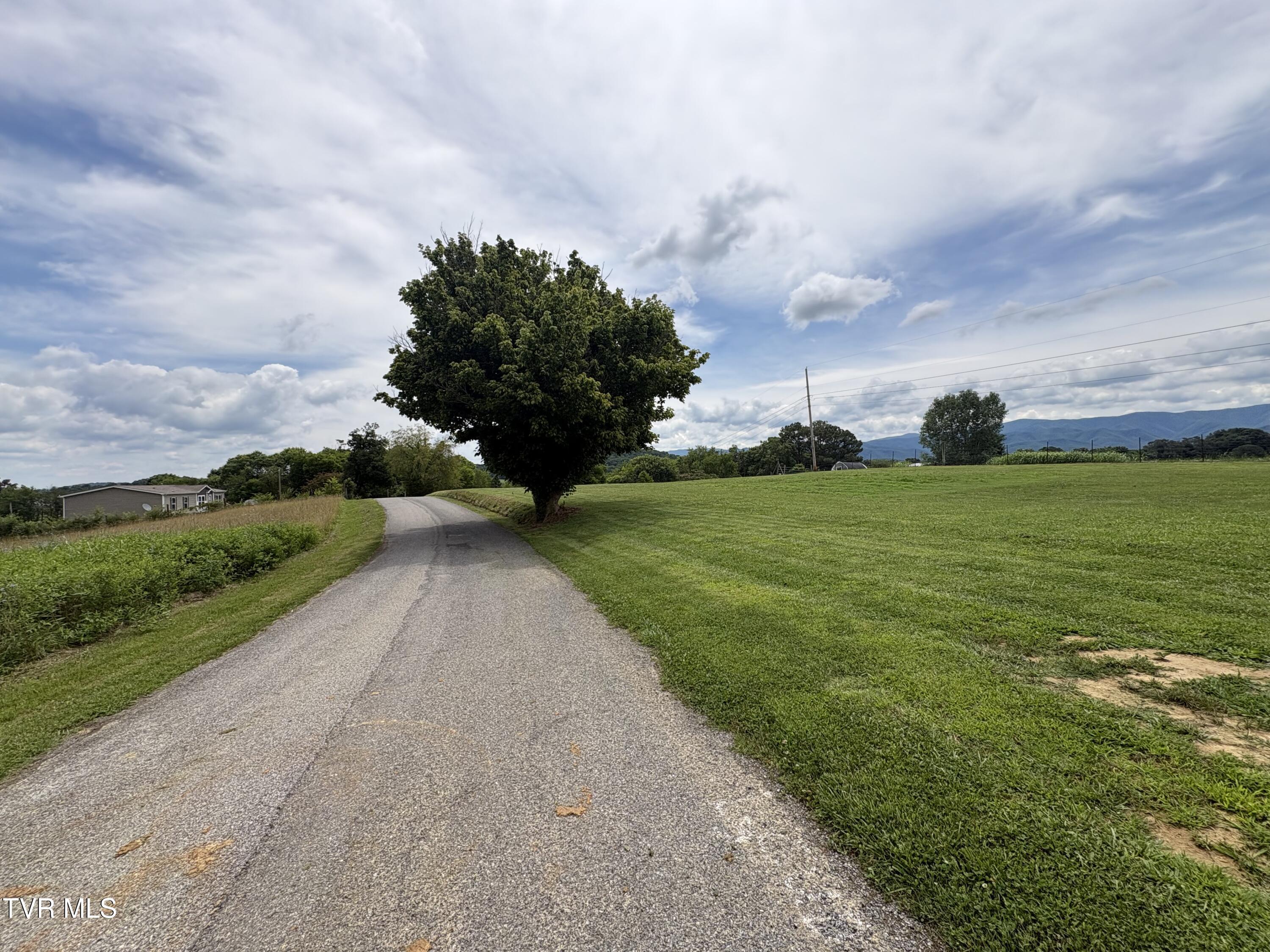 Image 3: IMG_8594
