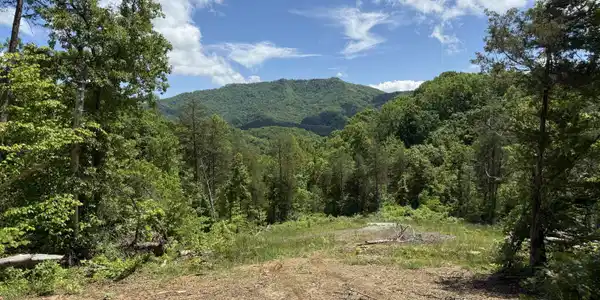 146/Ac Tbd Simpson Loop