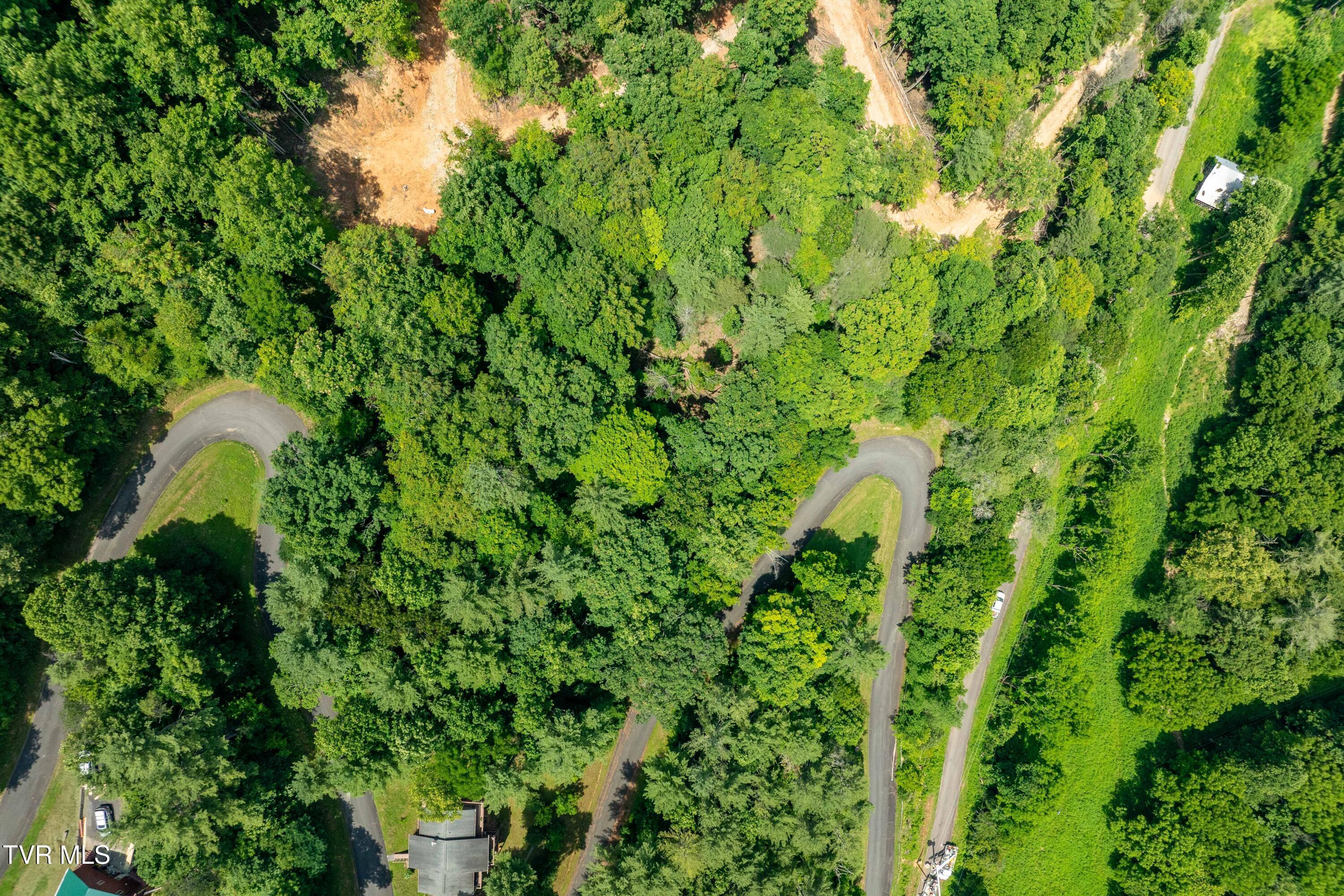 Image 2: Lot 2 (2 of 25)