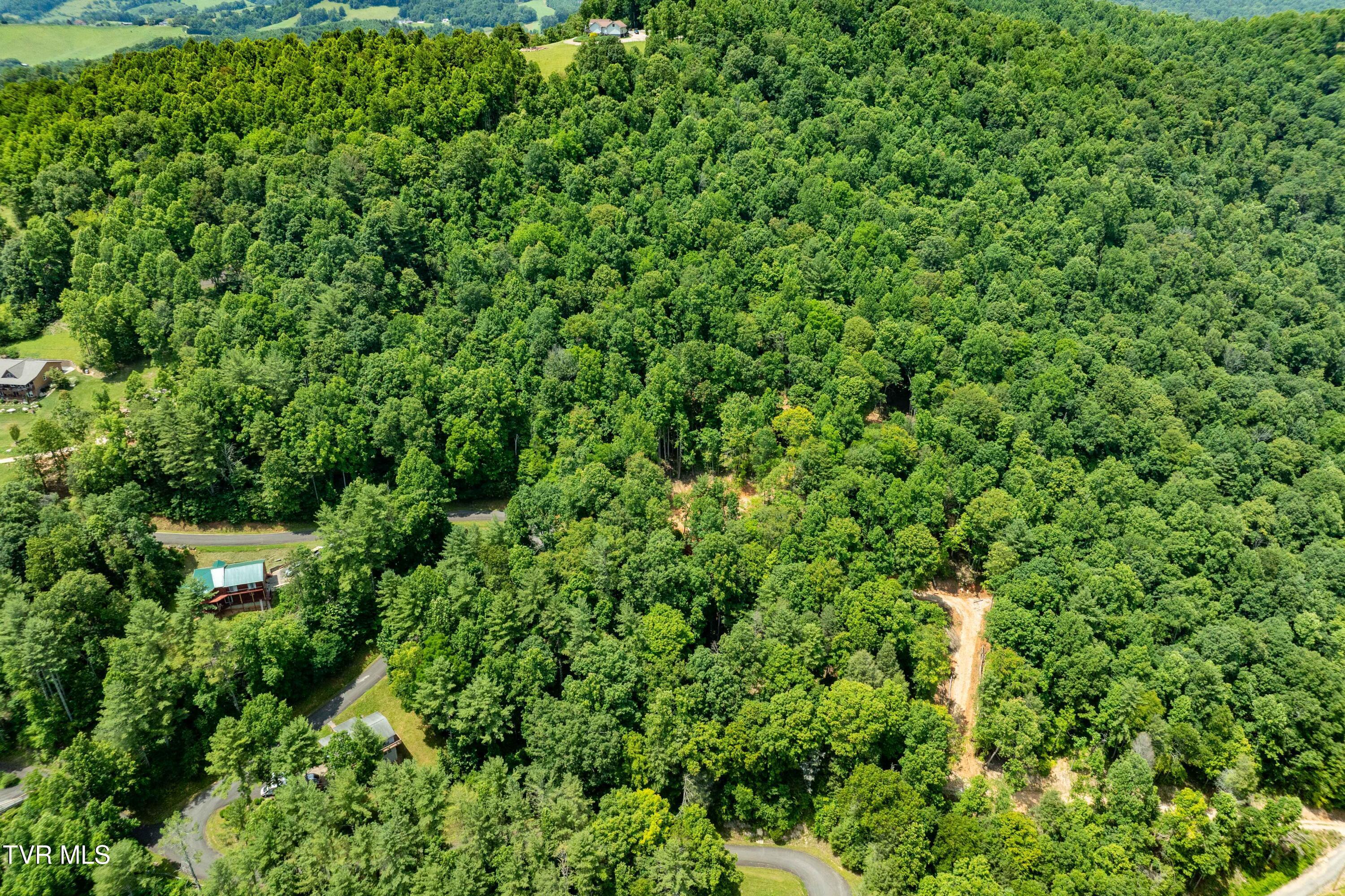 Image 4: Lot 2 (4 of 25)