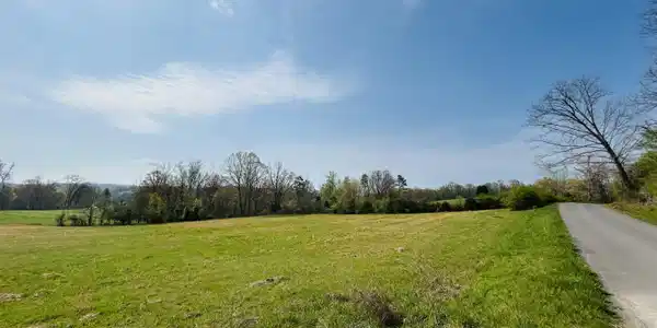 Tbd Williams Road