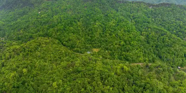 Image 4: 028-875SandyValleyRoad-Rogersville-TN-37
