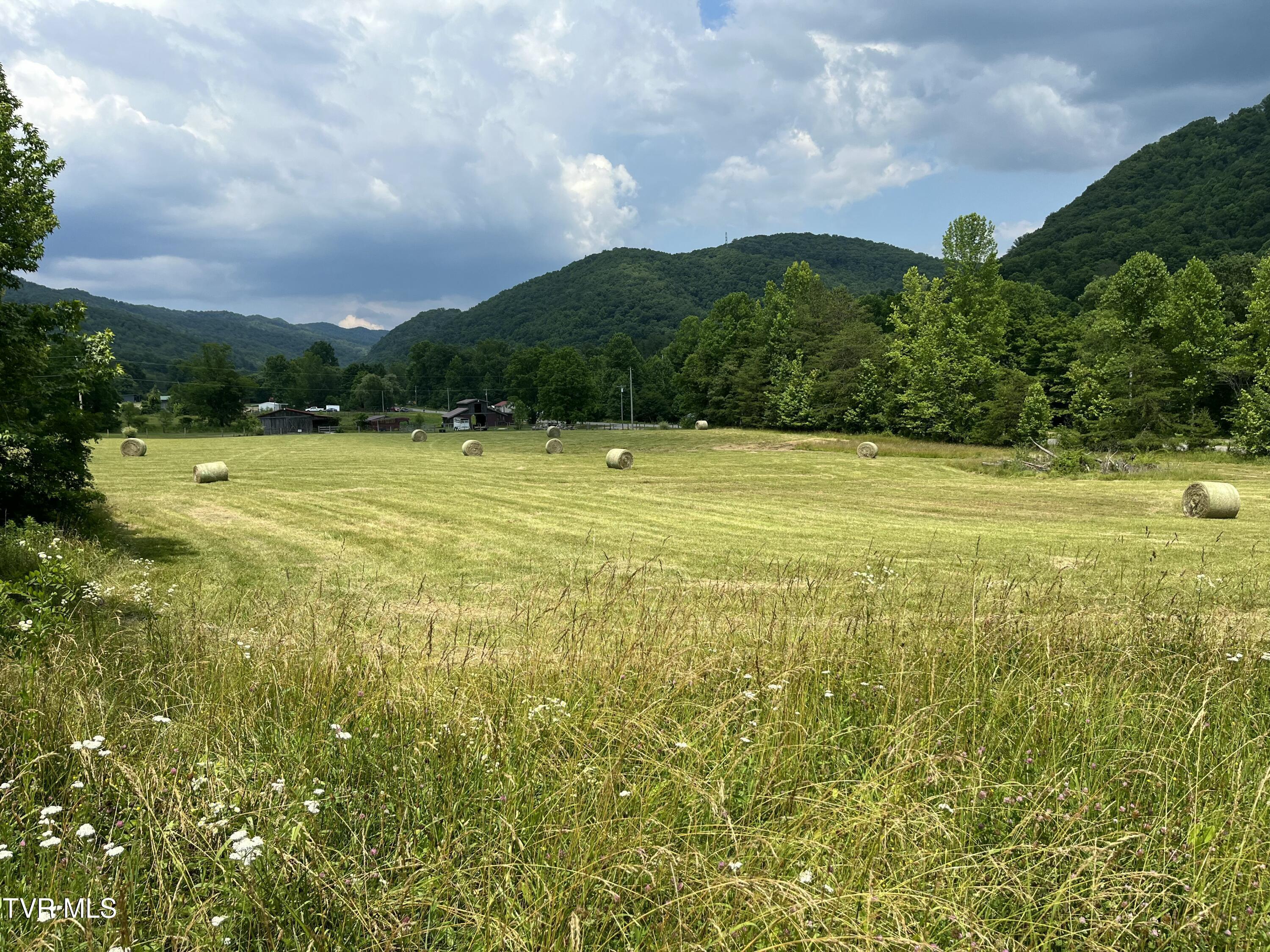 Image 3: IMG_6985
