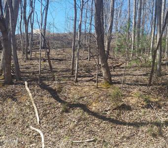 Lot 181 Ox Bow Rd