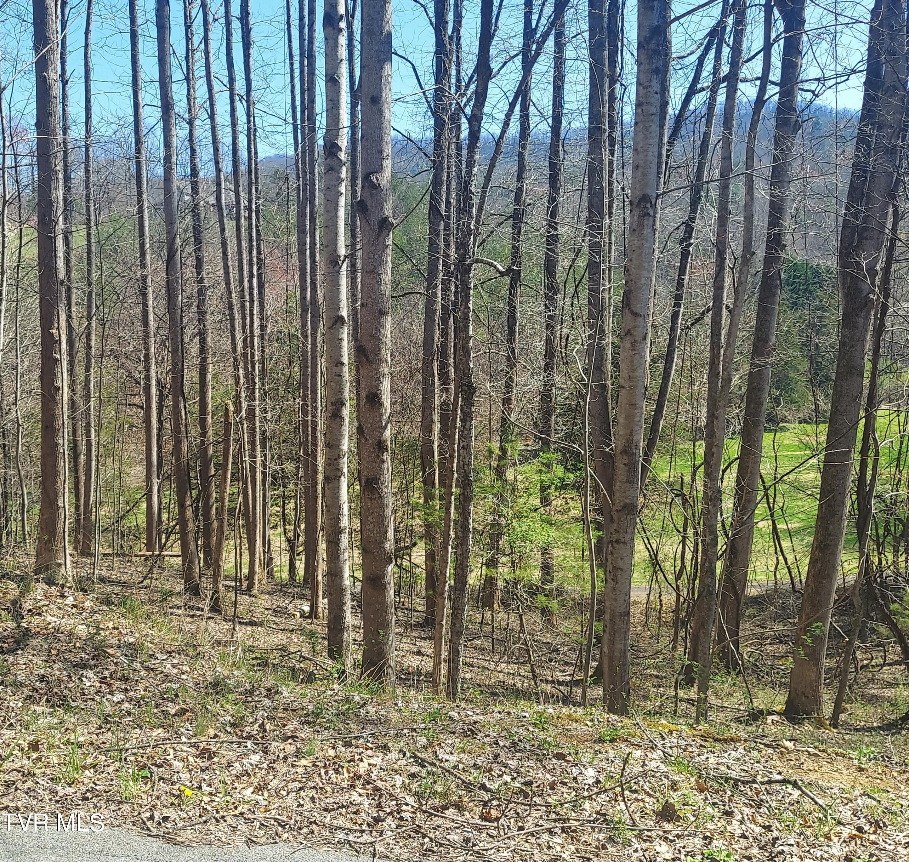 Image 2: 20240320_131448-2