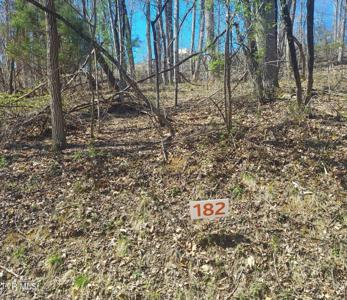 Lot 182 Ox Bow Ave.