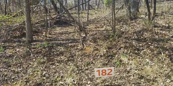 Lot 182 Ox Bow Ave.