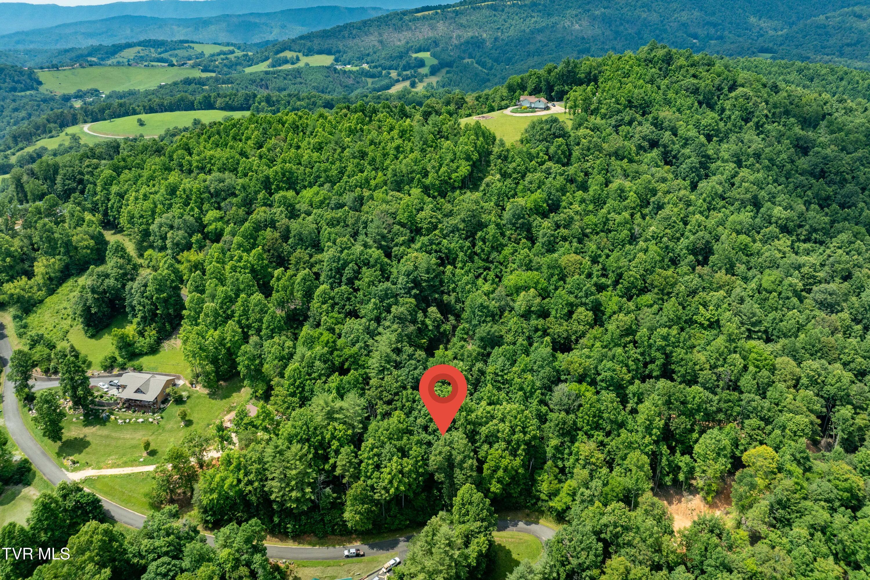 Image 3: Lot 13 (3 of 24)