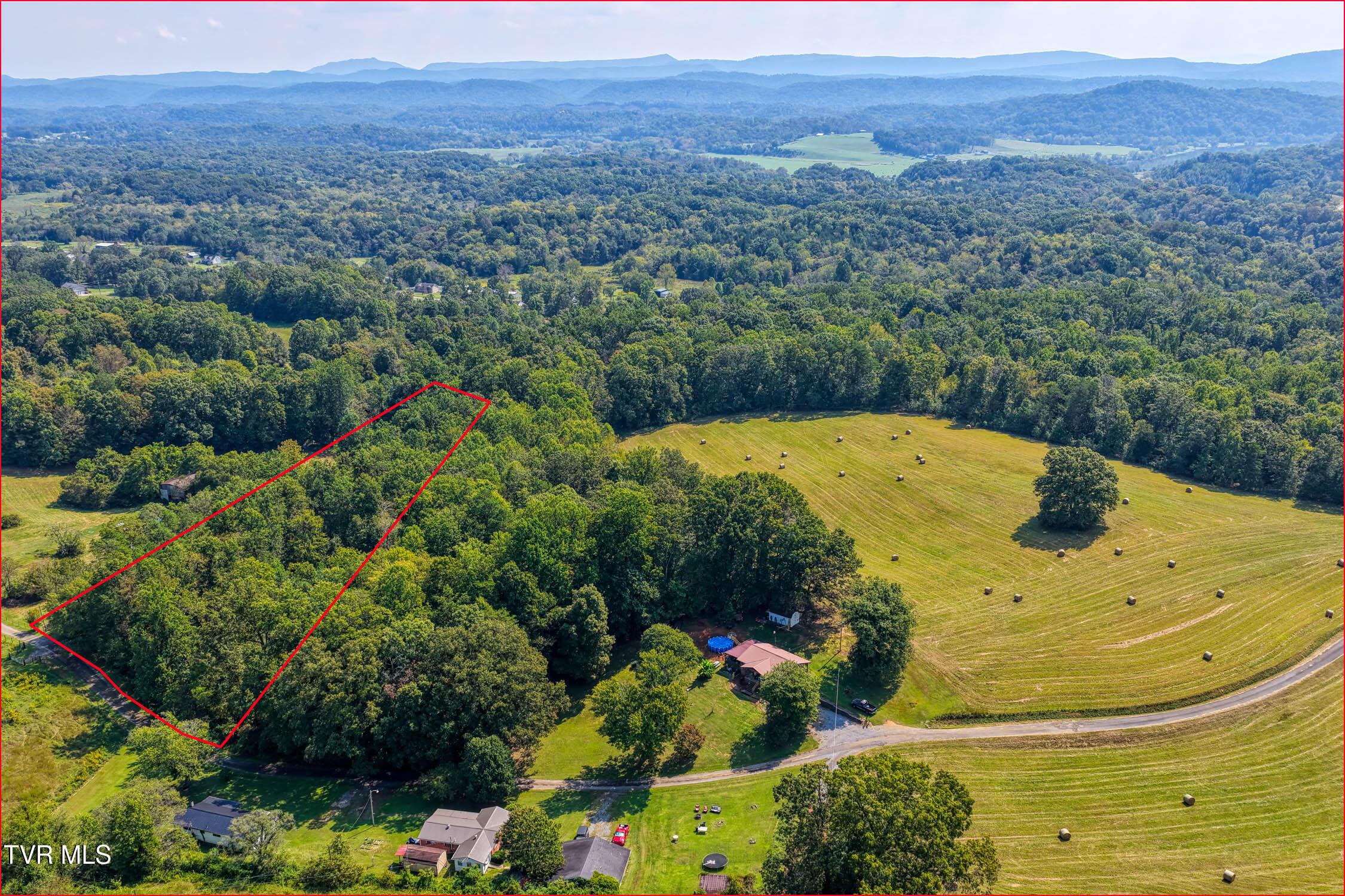 Image 2: Lot 10 b (2 of 2)