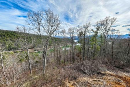 Tbd Mountain Wynd Drive