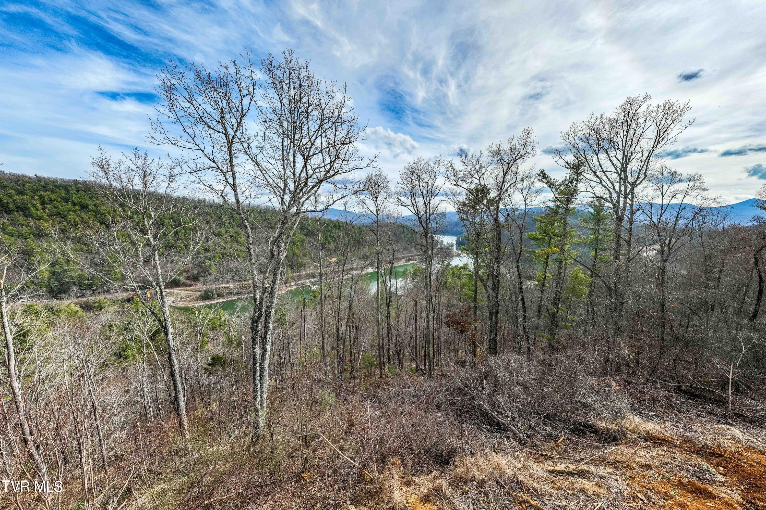 Image 1: TBD MOUNTAIN WYND DR (32 of 47)