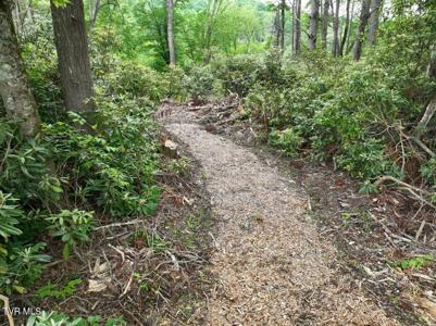 1772 Ripshin Mountain Road