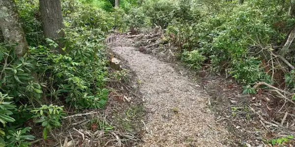 1772 Ripshin Mountain Road