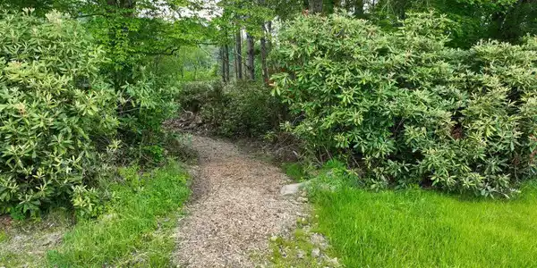 Image 4: DJI_0077 (1)
