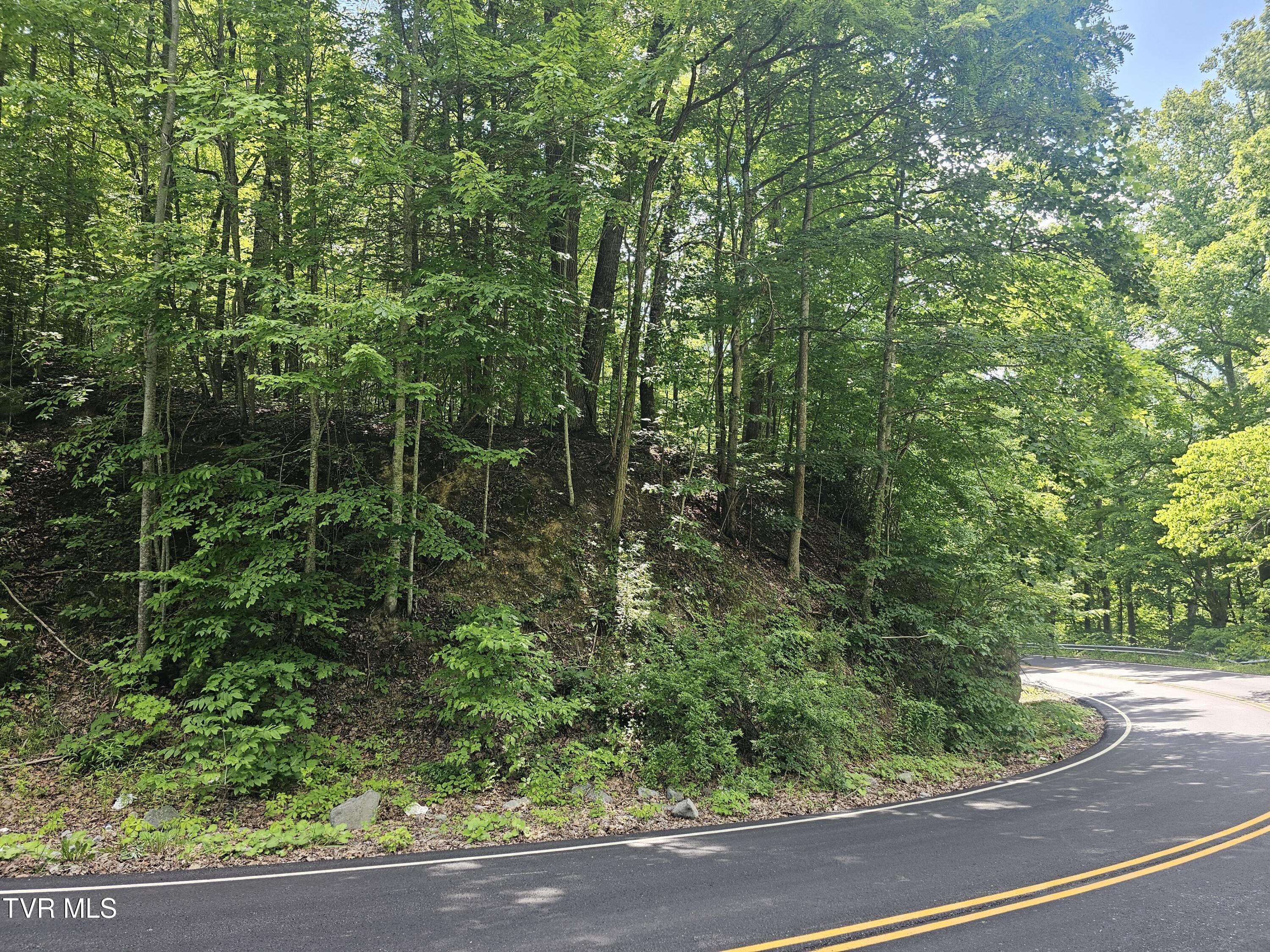 Image 2: road view